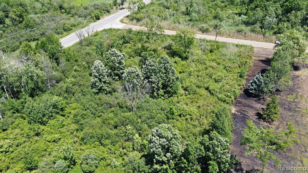 Vacant Land Brandt Road, Ortonville, MI 48462 — Photo 6