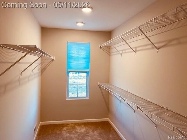 47671 Alden Terrace N, Northville, MI — Photo 13