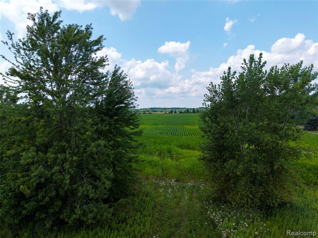 VL Sharp Road, Swartz Creek, MI 48473 — Photo 17