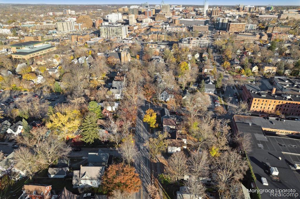 618 W LIBERTY Street, Ann Arbor, MI 48103 — Photo 50
