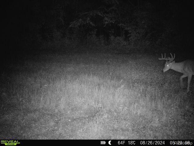 V/L BLAKE Road, Jackson, MI 49201 — Photo 86