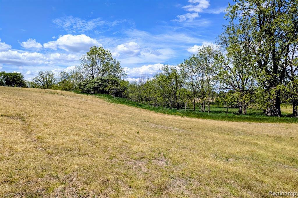 Parcel D - Hogan Road, Linden, MI 48451 — Photo 14