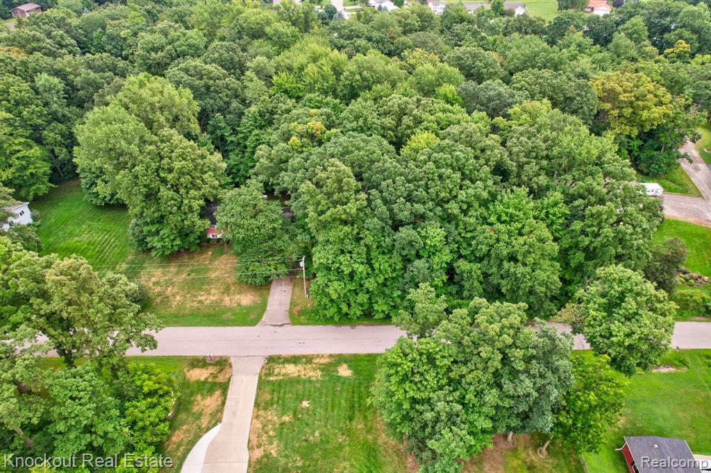 4861 Dorothy Street, Vassar, MI 48768 — Photo 43