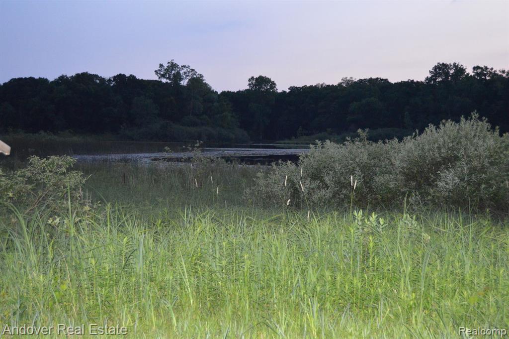2650 SANDHILL Drive, Dexter, MI 48130 — Photo 9