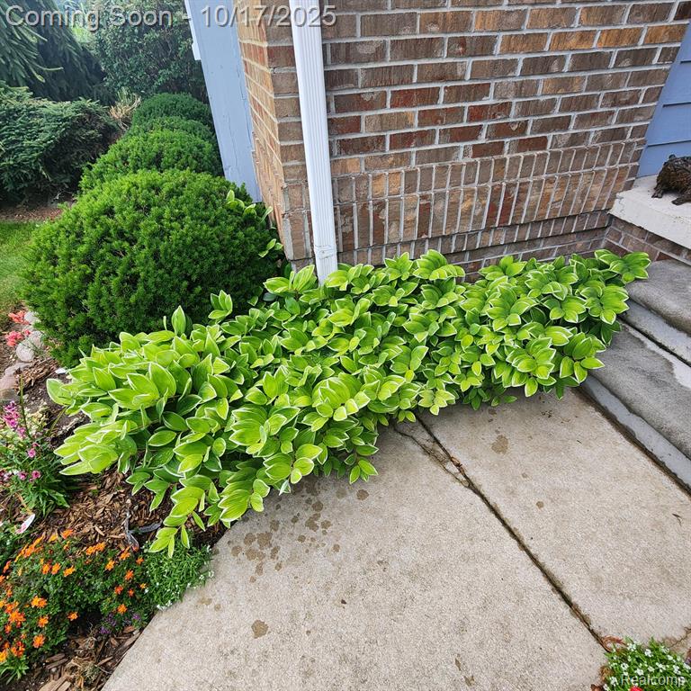 199 E Barron Road, Howell, MI 48855 — Photo 48