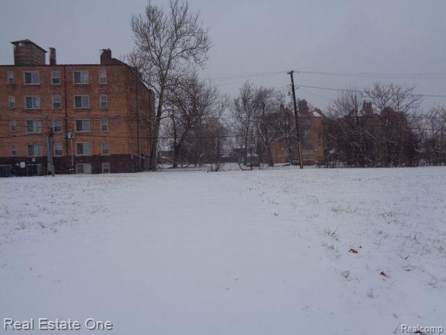 2736 ROCHESTER Street, Detroit, MI 48206 — Photo 7