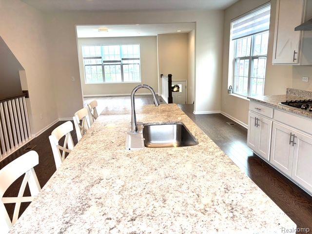 47676 ALDEN S, Northville, MI 48168 — Photo 10