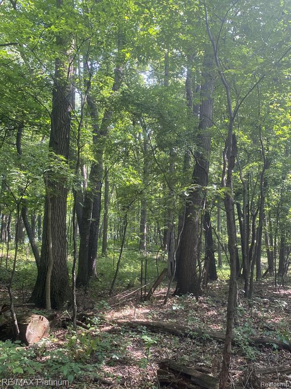 1215 S Bull Run Road, Fowlerville, MI 48836 — Photo 62