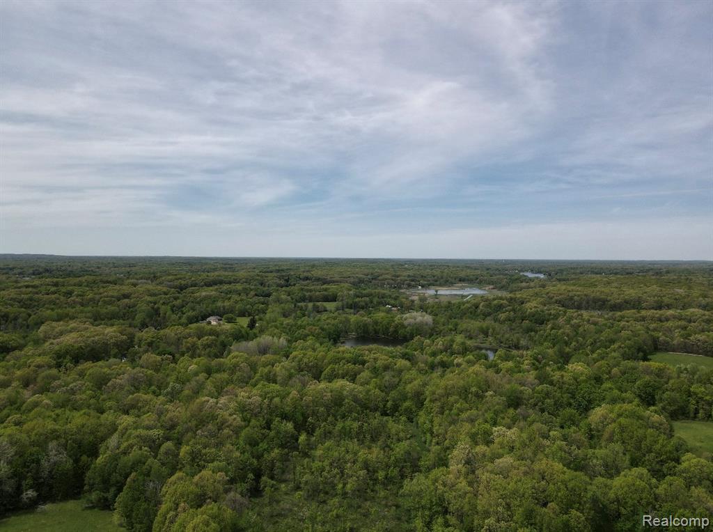 2320 Pool Road, Holly, MI 48442 — Photo 12