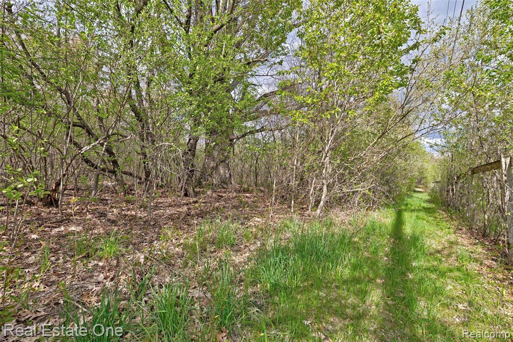 590 Judi Ann Lane, Holly, MI 48442 — Photo 28