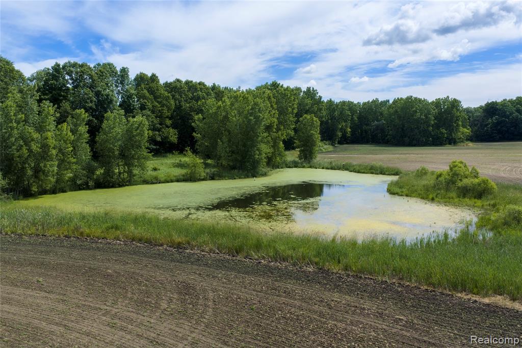10069 Silver Lake Road, Linden, MI 48451 — Photo 10