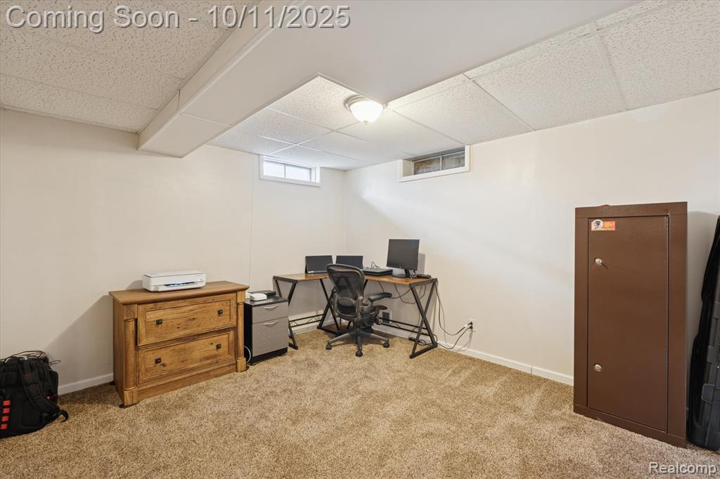 6457 Bristol Road, Swartz Creek, MI 48473 — Photo 39