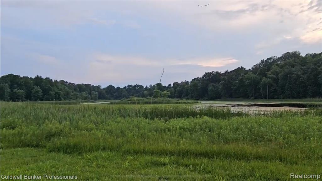 4331 Jones Road, North Branch, MI 48461 — Photo 3