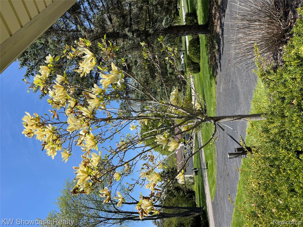 7089 Merrybrook, West Bloomfield, MI — Photo 11