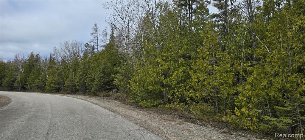 VL Lot 332 Balsam Drive, Presque Isle, MI 49777 — Photo 3