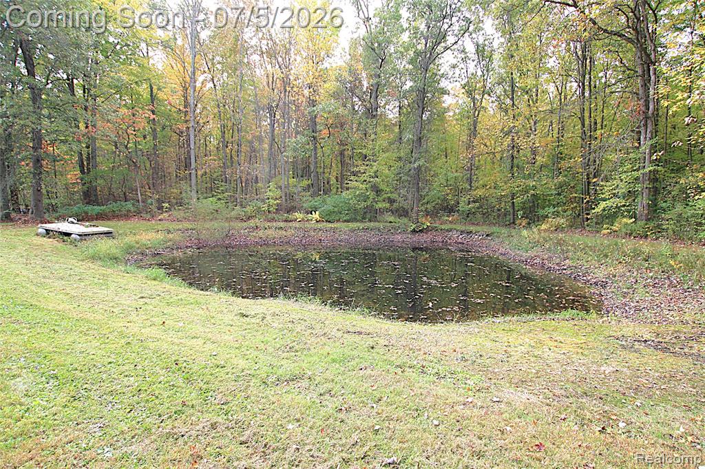 12403 Willard Road, Montrose, MI 48417 — Photo 10