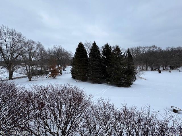11253 Phal Road, Grass Lake, MI 49240 — Photo 9