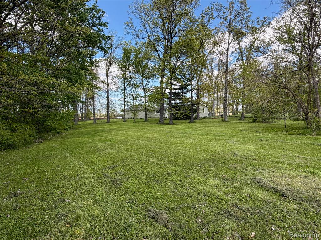4380 N Blissfield Highway, Britton, MI 49229 — Photo 6
