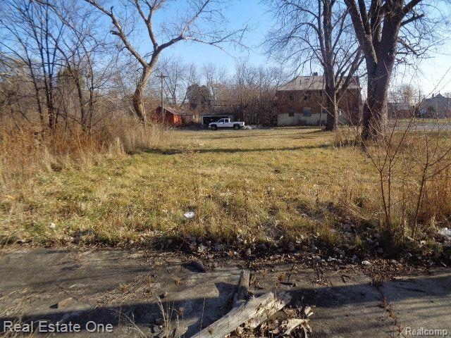 18088 PELKEY Street, Detroit, MI 48205 — Photo 6