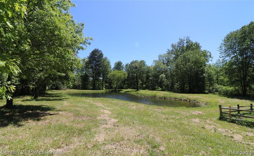 VACANT LAND Nicholson Road, Handy, MI 48836 — Photo 6