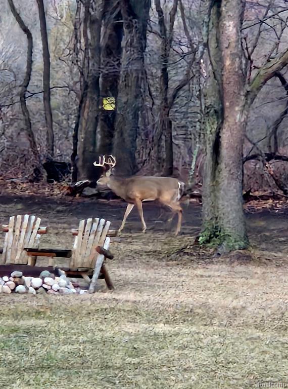 6300 VICTORIA Court, Fenton, MI 48430 — Photo 30