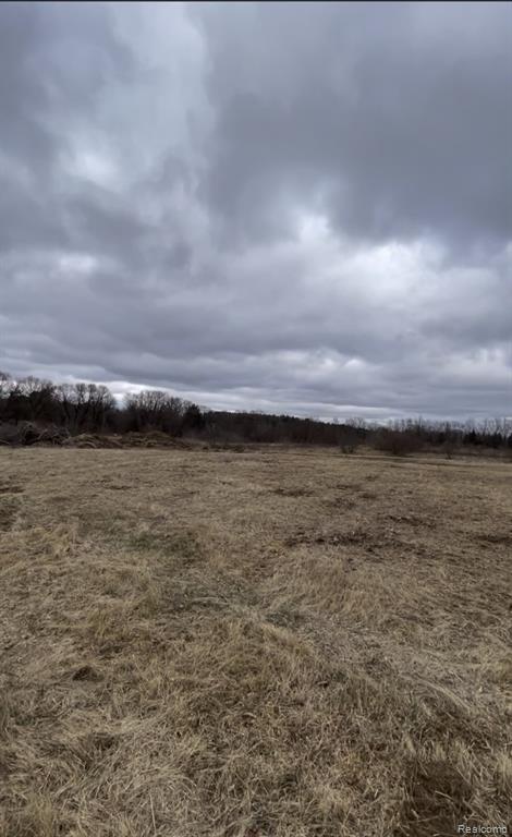 Parcel 3 S Creek Ln, Dryden, MI 48428 — Photo 5