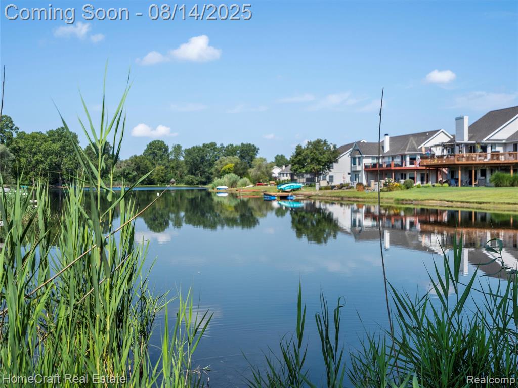 59608 BARKLEY Drive, New Hudson, MI 48165 — Photo 6