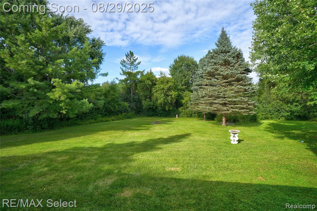 6308 River Road, Flushing, MI 48433 — Photo 10
