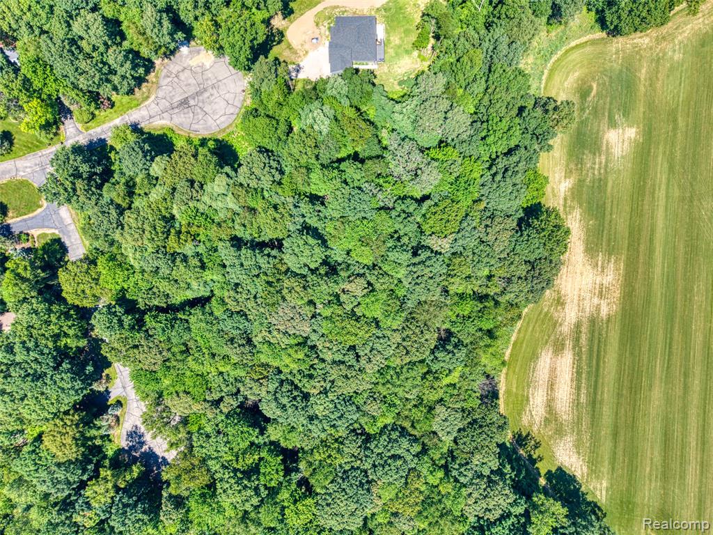 5663 Iosco Mountain Road, Gregory, MI 48137 — Photo 11