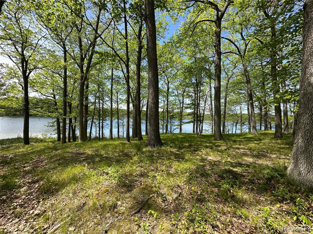 6727 Sherman Street, Otter Lake, MI 48464 — Photo 6