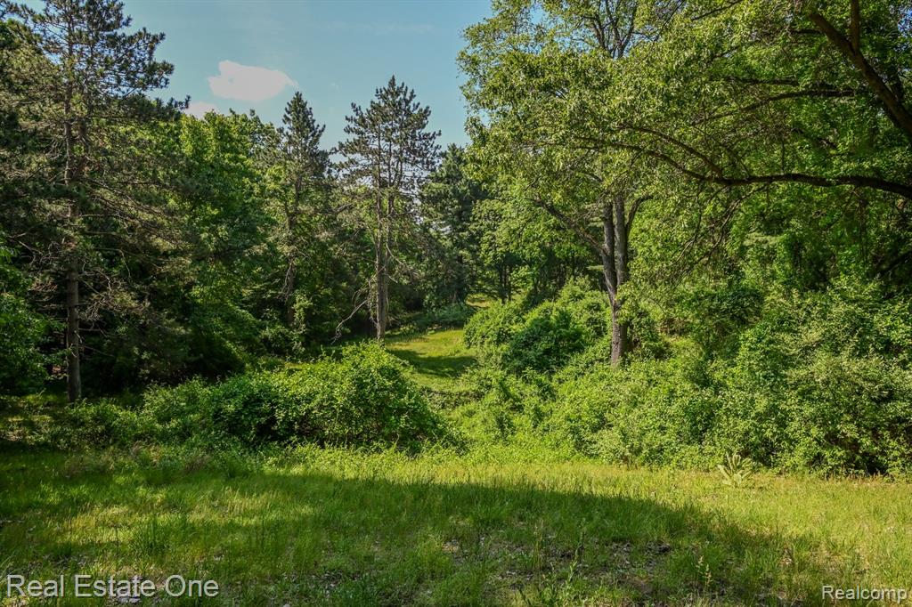 1832 W Commerce Road - Photo 5