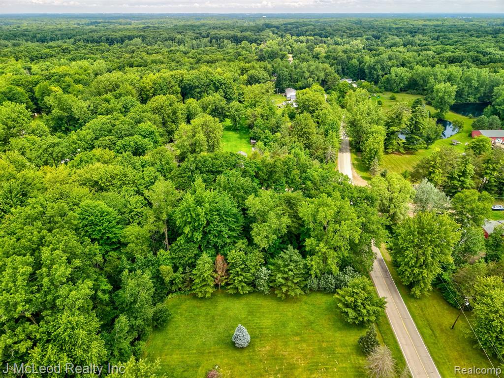 VL N Lewis Road, Clio, MI 48420 — Photo 13