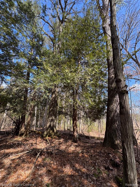 4233 Hardacre Trail, Houghton Lake, MI 48629 — Photo 22