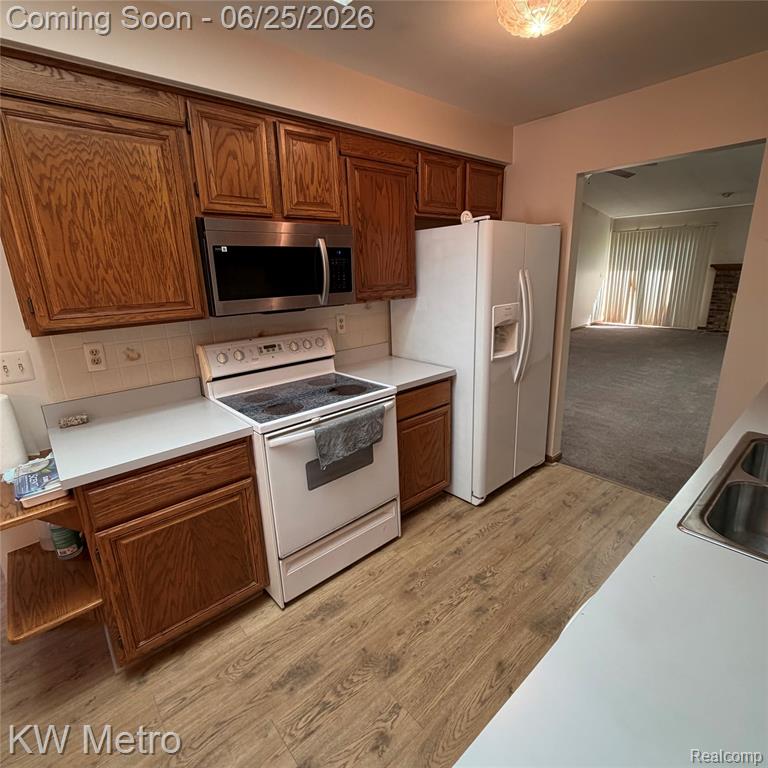 49429 Ferrisburg Court, Utica, MI 48315 — Photo 11