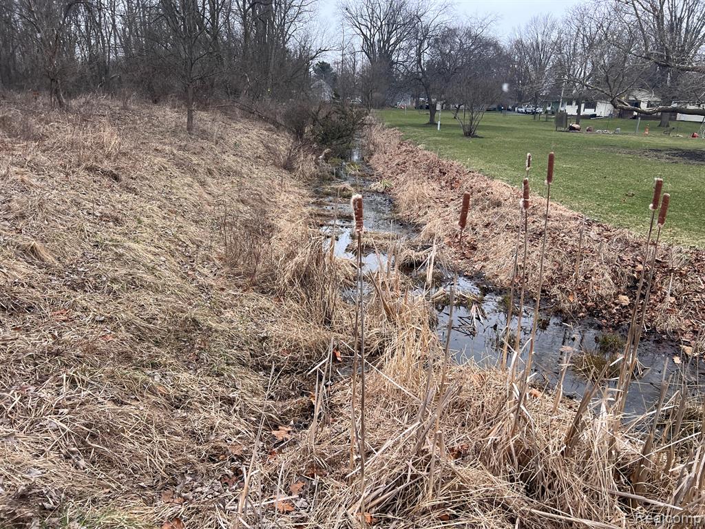 VL Washington Street, Perry, MI 48872 — Photo 11