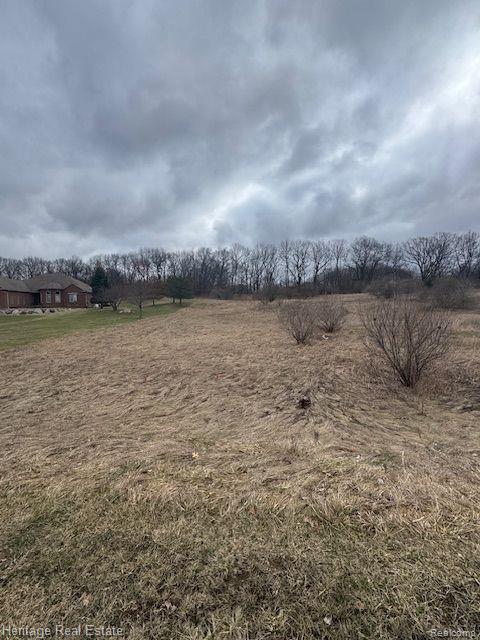 Lot 5 Rosy Drive, Leonard, MI 48367 — Photo 6