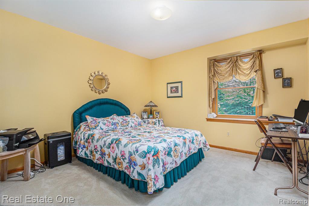 3125 N Tipsico Lake Road, Hartland, MI 48353 — Photo 21