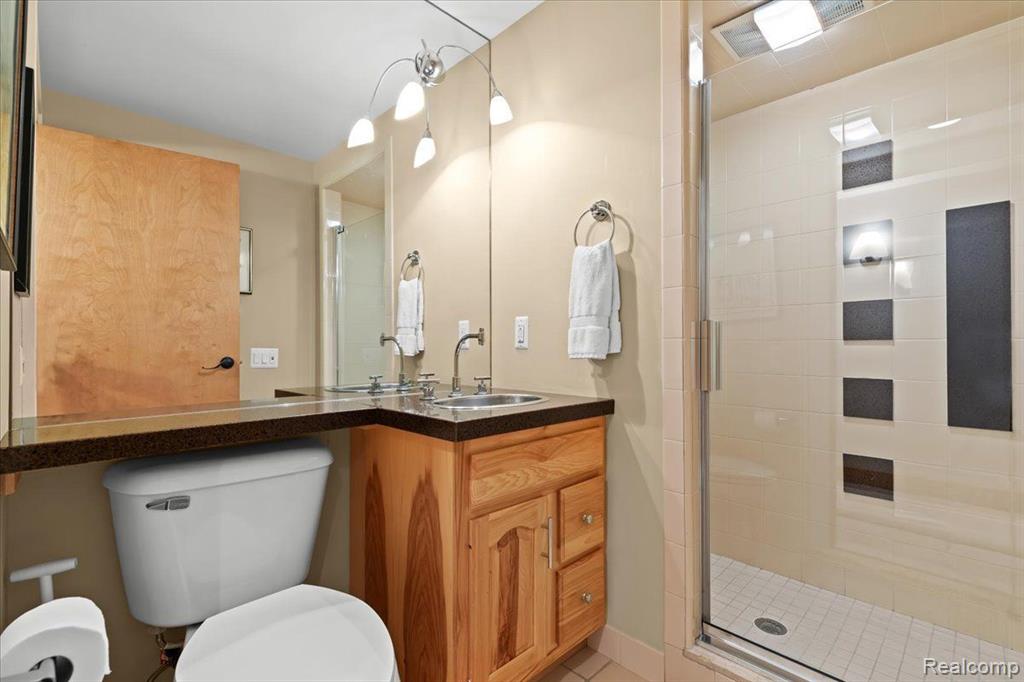 2193 TRILLIUM WOODS Drive, Ann Arbor, MI 48105 — Photo 41