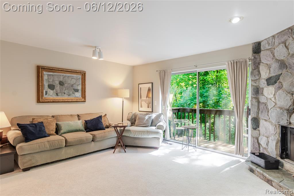 234 Lyn Anne Court, Ann Arbor, MI 48103 — Photo 10