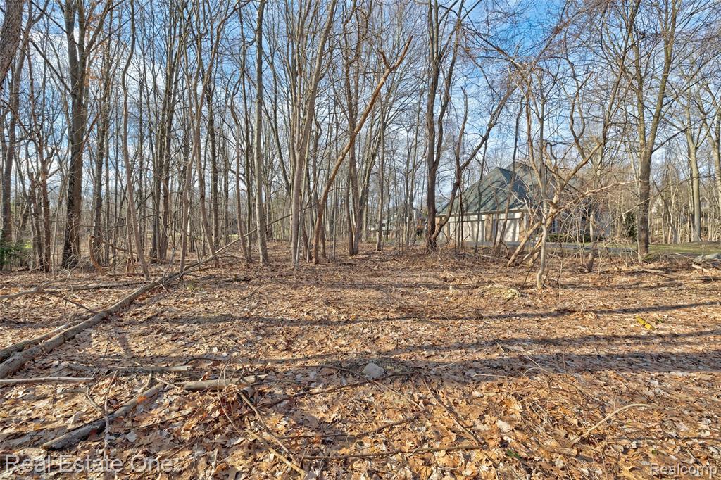 9889 Kingston Ridge, Clarkston, MI 48348 — Photo 26