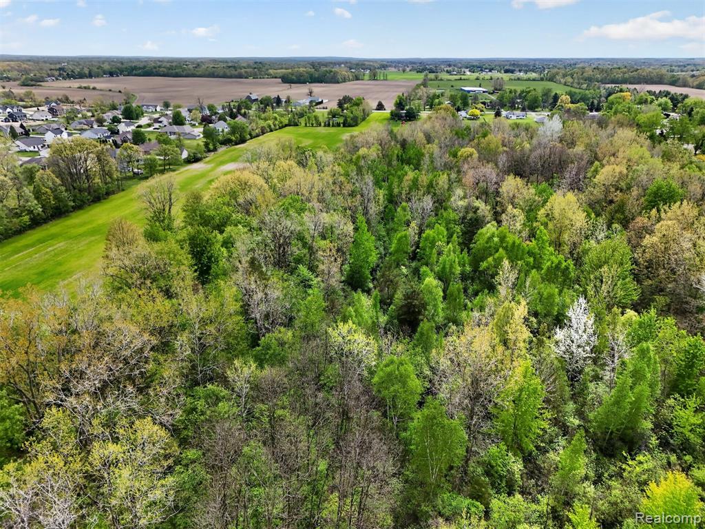 VL Grand Blanc Road, Swartz Creek, MI 48473 — Photo 7