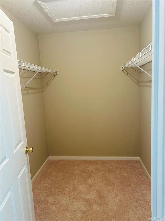 9596 Wheatgrass Lane, Belleville, MI 48111 — Photo 12