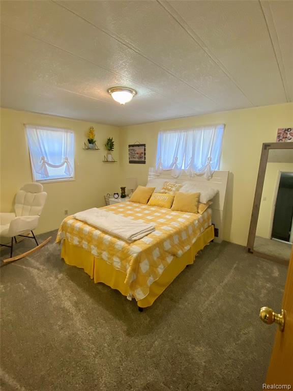 2126 Tomlinson Road, Caro, MI 48723 — Photo 10