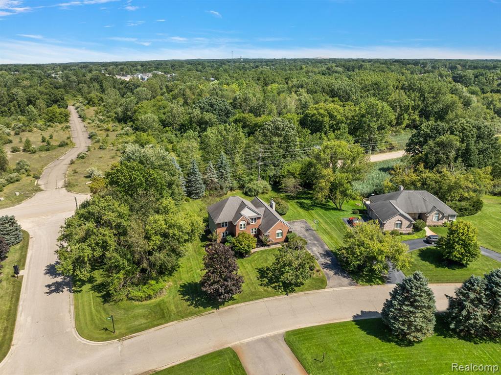 10161 LONGFORD Drive, South Lyon, MI 48178 — Photo 76