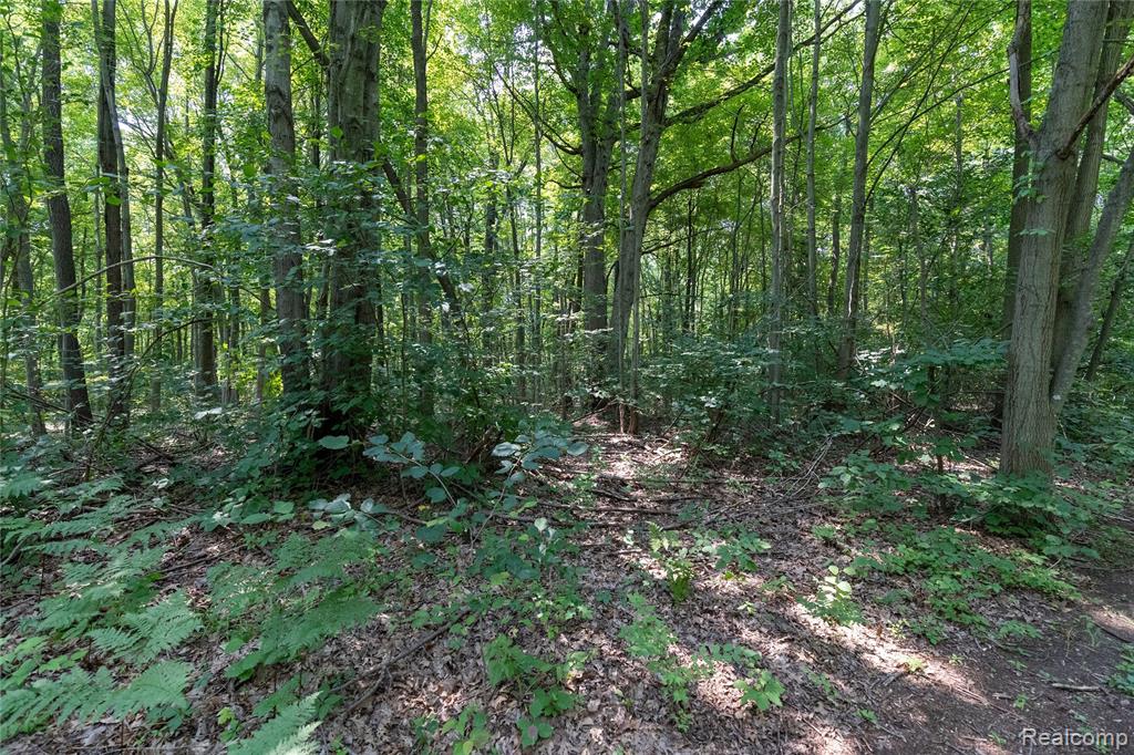 14405 Rawsonville Road, Belleville, MI 48111 — Photo 25