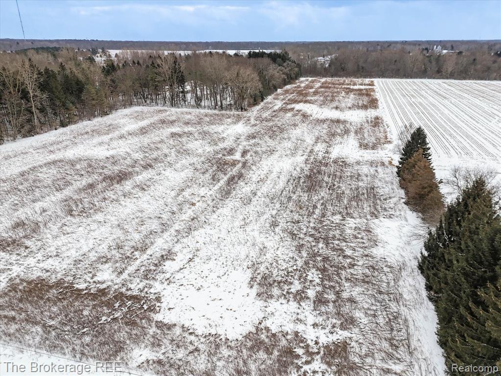 S Gera Rd, Birch Run, MI 48415 — Photo 9
