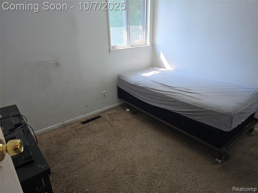 50 Michigan Street, Mount Clemens, MI 48043 — Photo 12