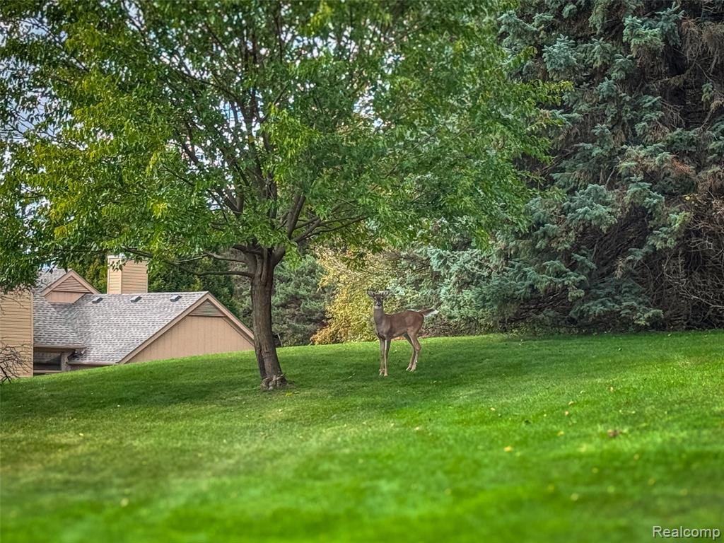 5893 Dawn Ridge Drive, Troy, MI 48098 — Photo 22