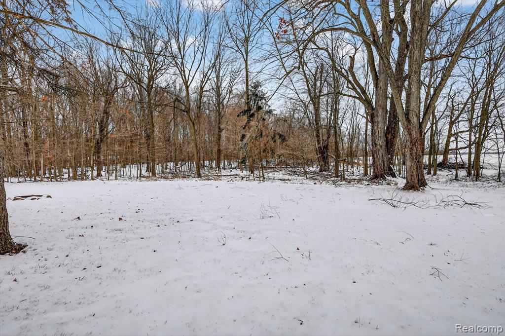 1500 Frost Road, Williamston, MI 48895 — Photo 35