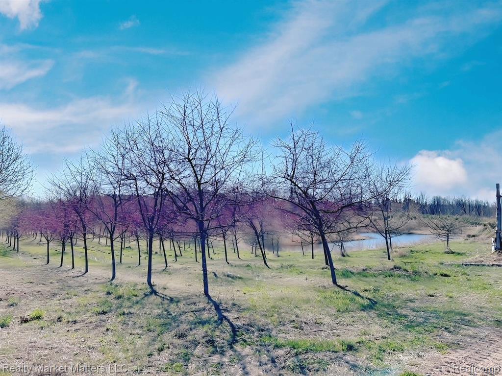 5770 Denhoff Road, Kingston, MI 48741 — Photo 13